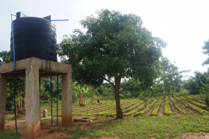Kaputalambwe Drip Irrigation